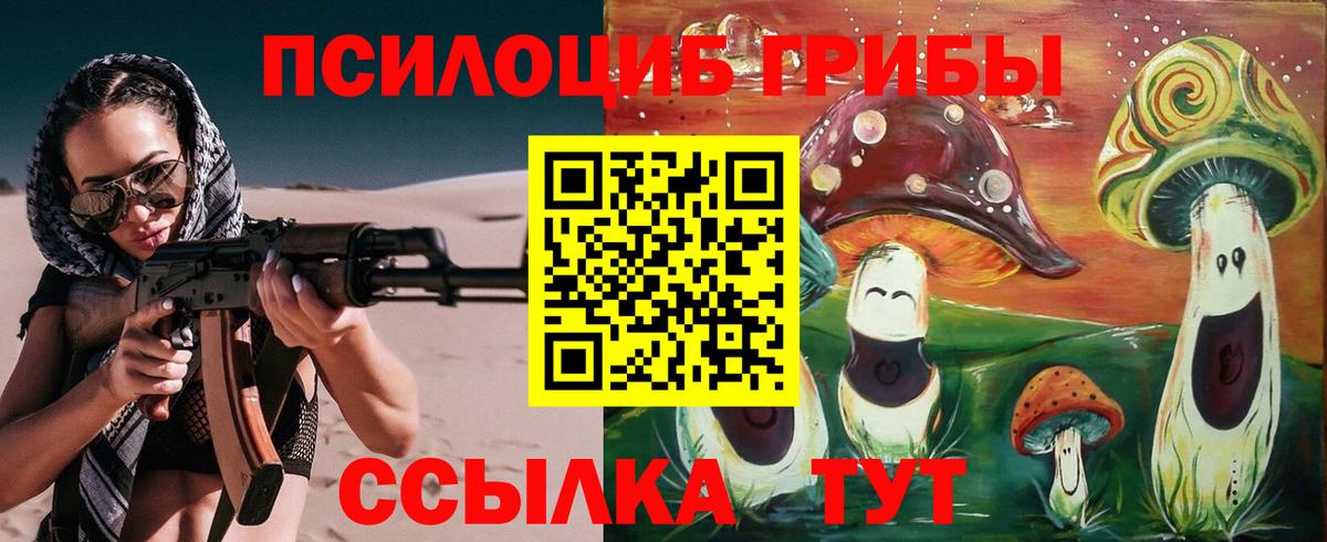 Галлюциногенные грибы Psilocybine cubensis  Вход с VPN  Псилоцибиновые грибы Psilocybe  Нововоронеж 